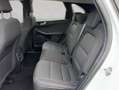Ford Kuga 2.5 Duratec PHEV TITANIUM Blanc - thumbnail 17