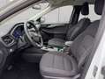 Ford Kuga 2.5 Duratec PHEV TITANIUM Blanc - thumbnail 10