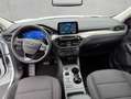 Ford Kuga 2.5 Duratec PHEV TITANIUM Blanc - thumbnail 13