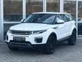 Land Rover Range Rover Evoque Aut. LEDER+NAVI+RFK+PDC+20" Blanc - thumbnail 1