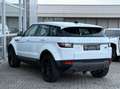 Land Rover Range Rover Evoque Aut. LEDER+NAVI+RFK+PDC+20" Blanc - thumbnail 6