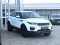 Land Rover Range Rover Evoque Aut. LEDER+NAVI+RFK+PDC+20" Blanc - thumbnail 3