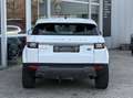 Land Rover Range Rover Evoque Aut. LEDER+NAVI+RFK+PDC+20" Blanc - thumbnail 5