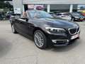 BMW 218 * 218i Luxery Edition - Cabriolet * Bruin - thumbnail 13
