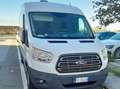 Ford Transit Bianco - thumbnail 2