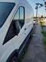 Ford Transit Bianco - thumbnail 1