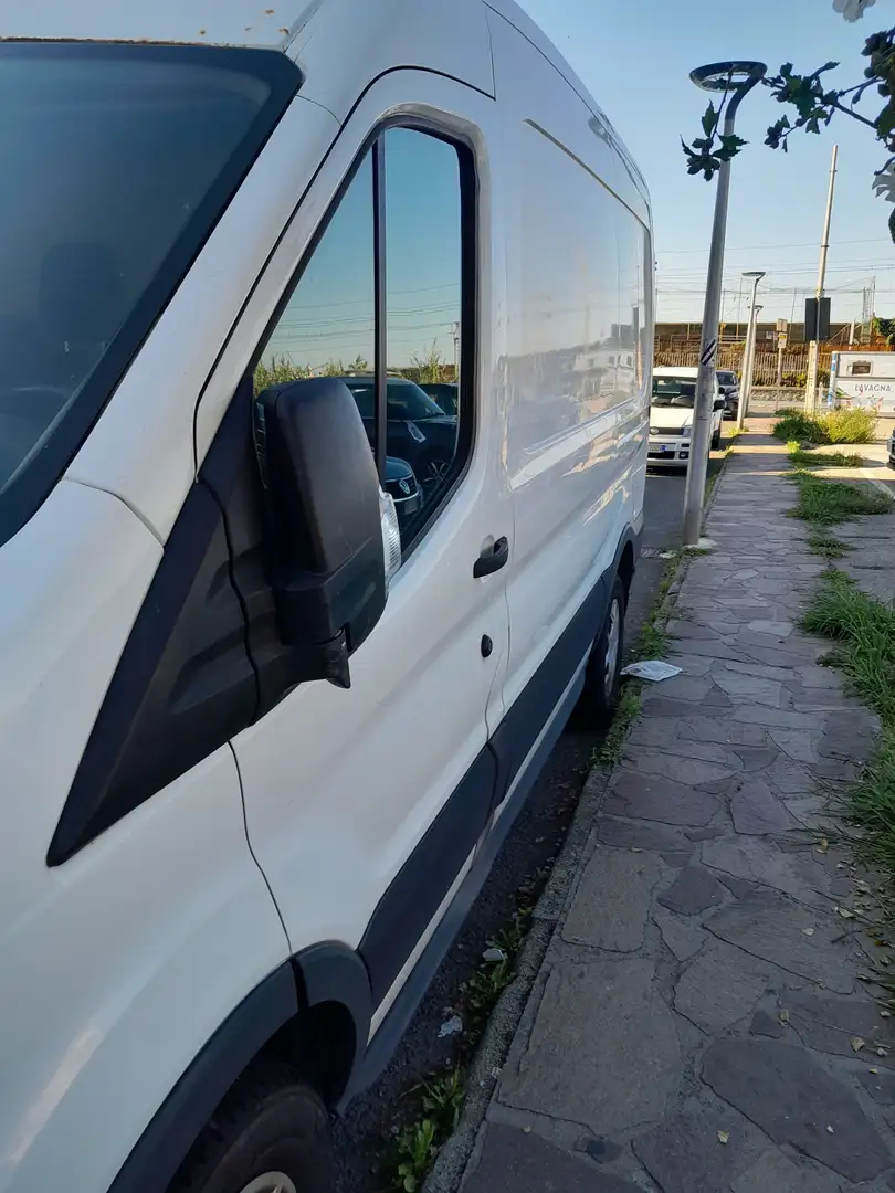 Ford Transit Bianco - 1