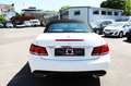 Mercedes-Benz E 400 AMG Line *Tüv&Inspektion Neu* ACC+H&K*360* Weiß - thumbnail 39