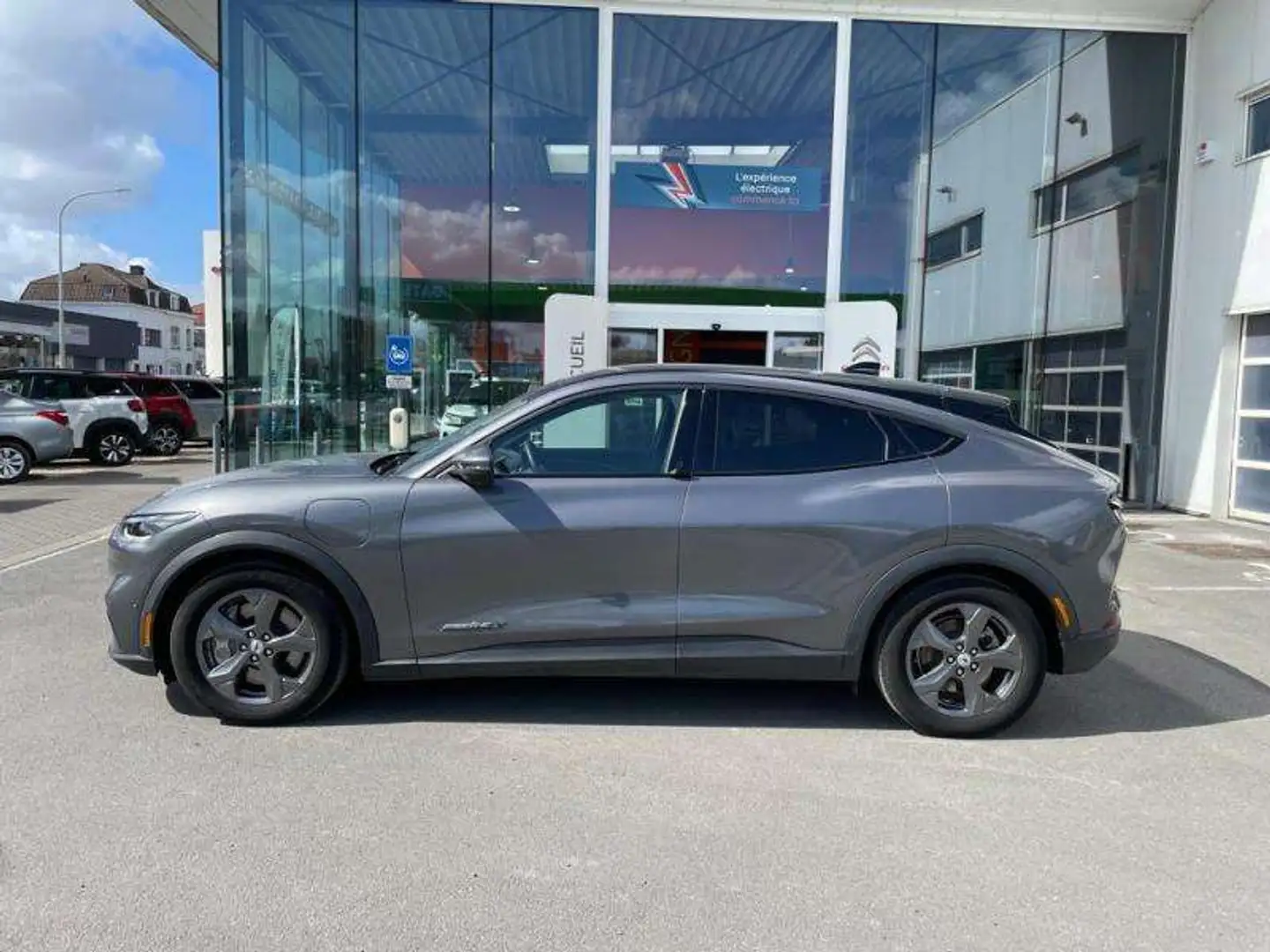 Ford Mustang Mach-E trend rwd 294cv 610km range Šedá - 2