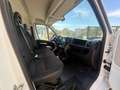 Citroen Jumper L2 H2 Bianco - thumbnail 11