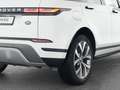 Land Rover Range Rover Evoque P300e SE Pano + Winterpaket Weiß - thumbnail 10