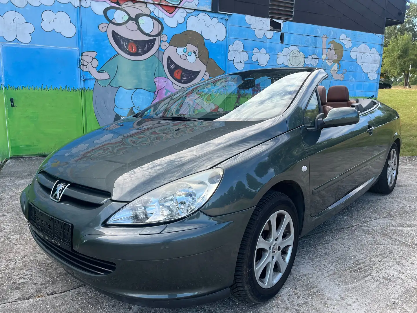 Peugeot 307 Basis Grau - 1