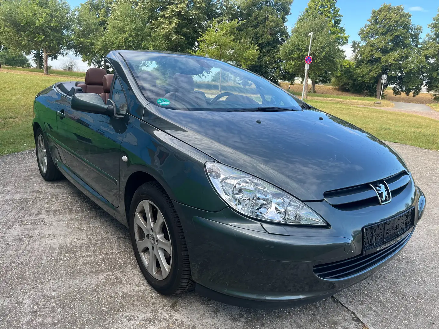 Peugeot 307 Basis Grau - 2