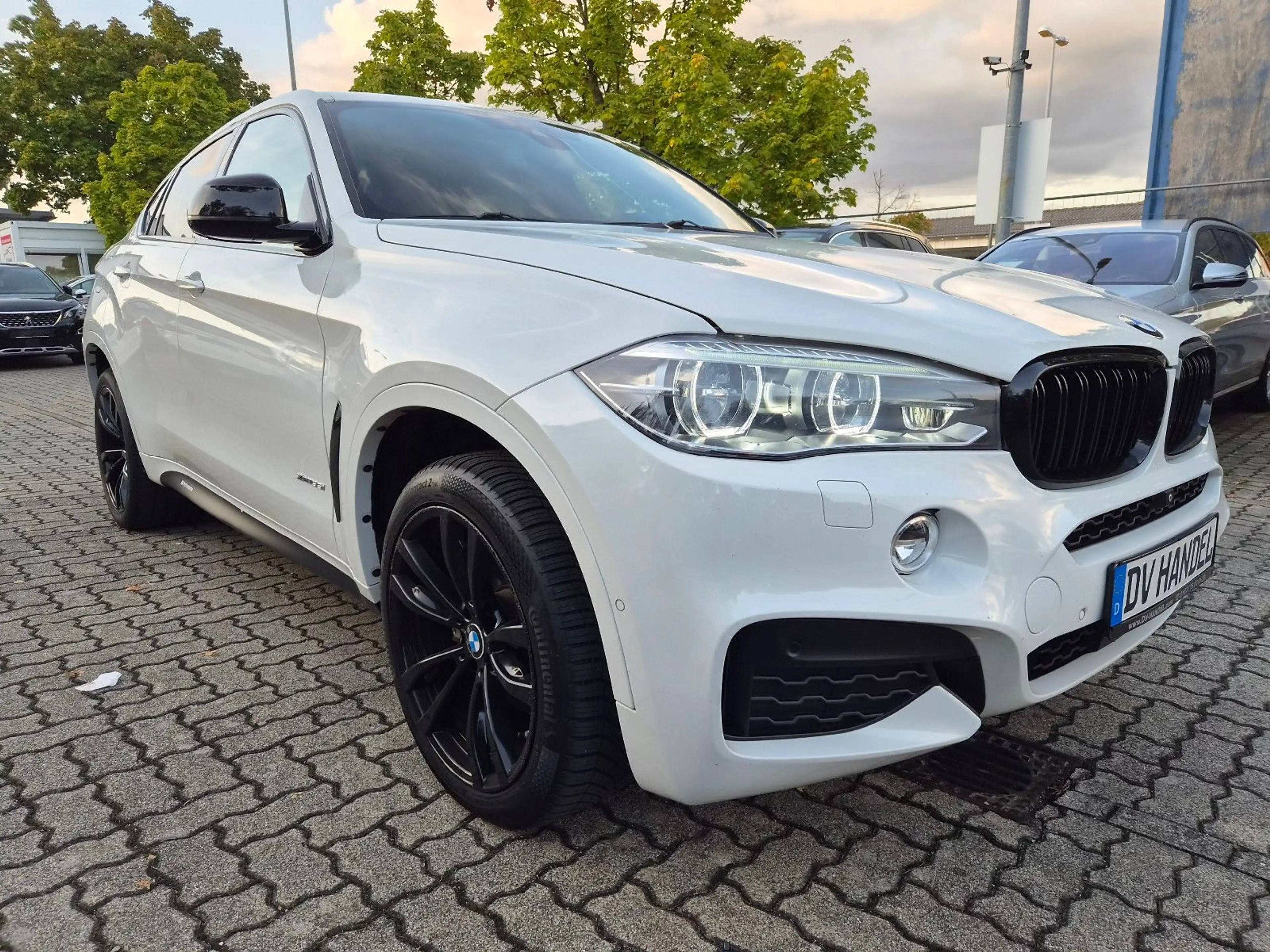 BMW X6 xDrive 35 i M-Paket Performance — photo 8
