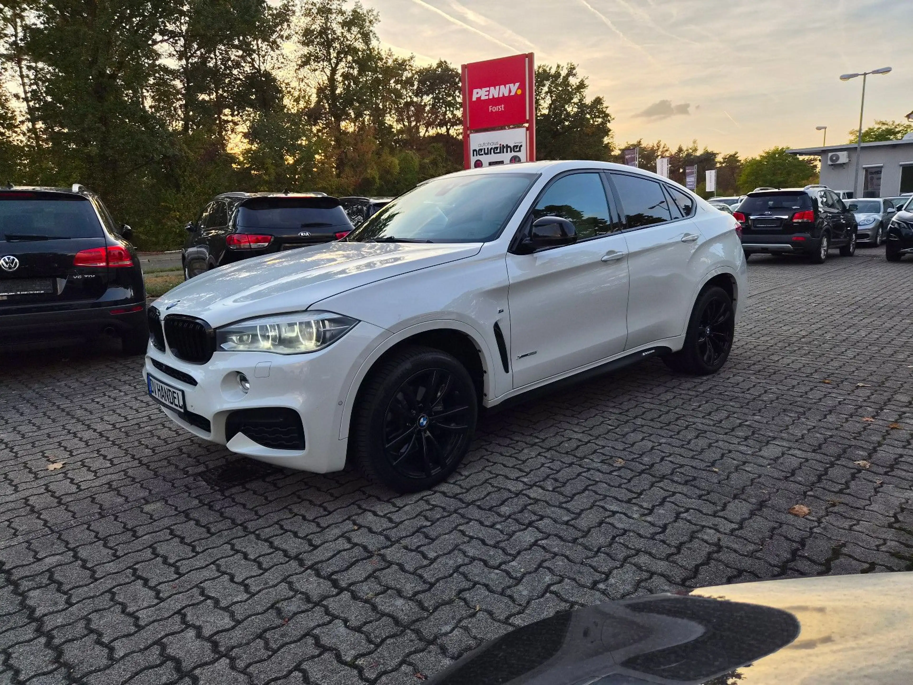 BMW X6 xDrive 35 i M-Paket Performance — photo 10