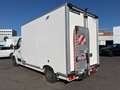Opel Movano 2 Kammer,Carrier, 20°C Tiefkühl+Strom Weiß - thumbnail 6