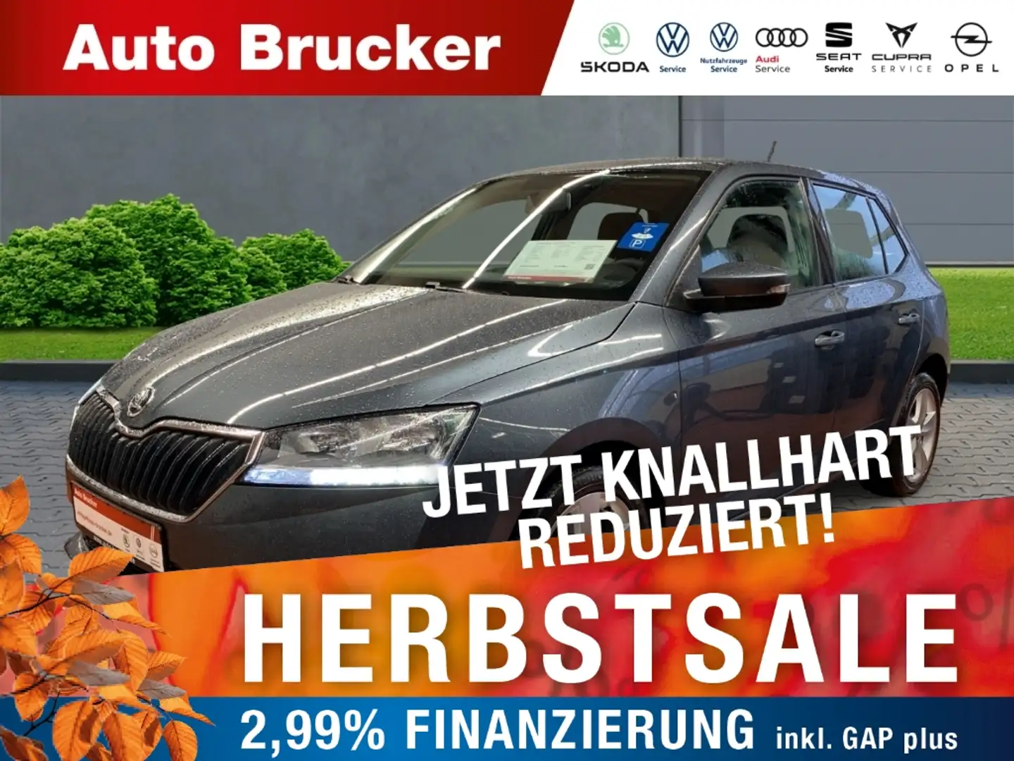 Skoda Fabia Cool Plus 1.0 TSI Klimaanlage Sitzh. PDC Grau - 1