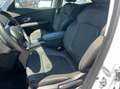 Renault Scenic 1.3 tce Sport Edition2 140cv fap my19 Blanc - thumbnail 9