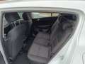 Kia Sportage Sportage 1.6 GDI 2WD EDITION 7 Weiß - thumbnail 2