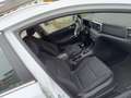 Kia Sportage Sportage 1.6 GDI 2WD EDITION 7 Weiß - thumbnail 5