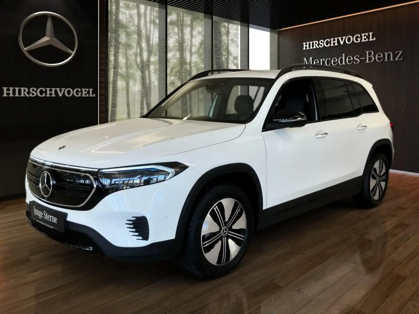 Mercedes-Benz EQB 250 Electric-Art+Night+DISTRONIC+KEYLESS+LED Blanco - 2