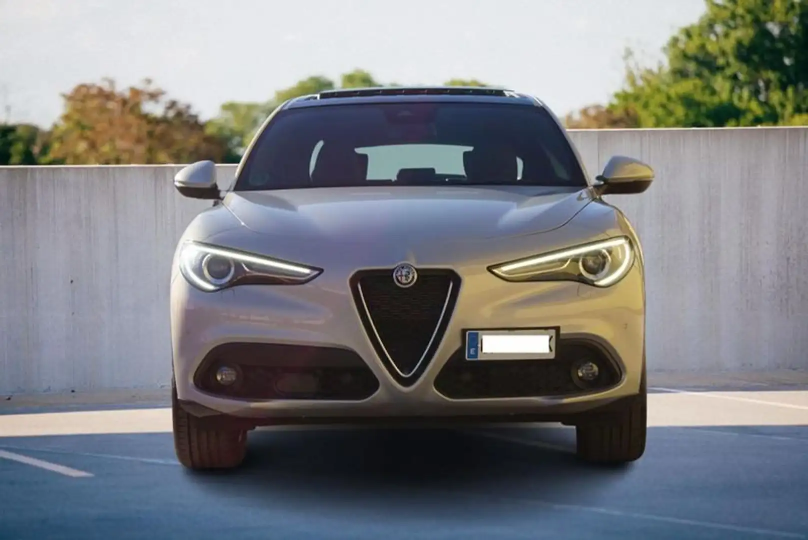 Alfa Romeo Stelvio Ti 2.2 Turbodiesel 210 CV AT8 Q4 Argento - 2