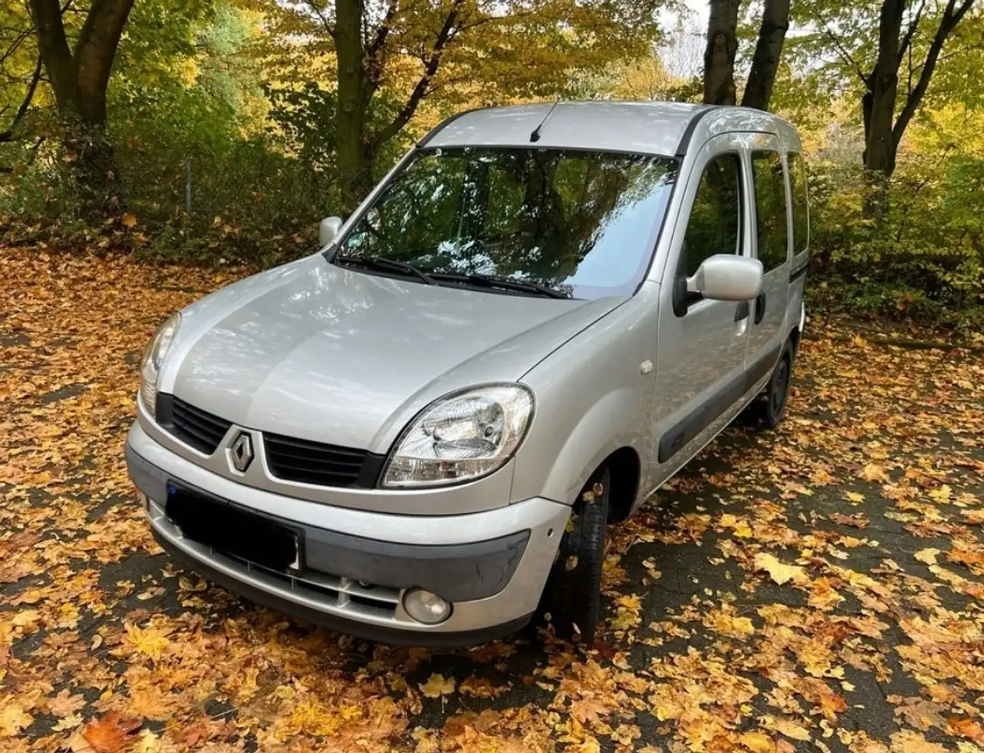 Renault Kangoo 1.6 dCi 16V - 1