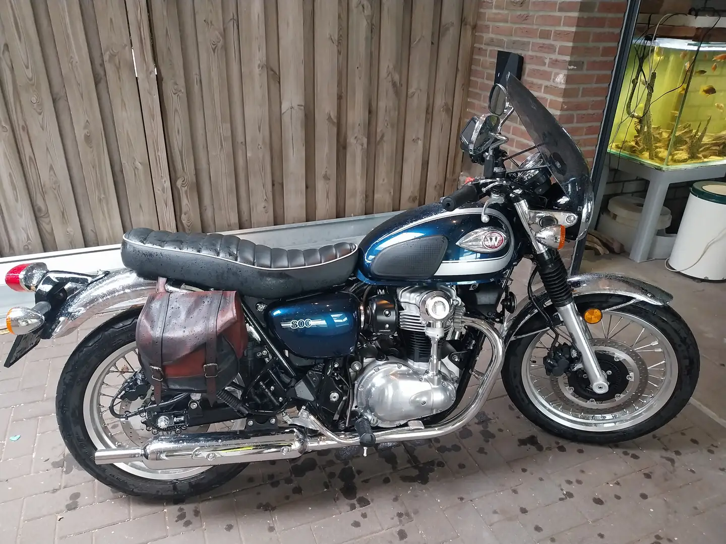 Kawasaki W 800 Blauw - 2