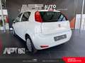 Fiat Punto Evo Punto 1.2 Street 5p E6 Blanco - thumbnail 4