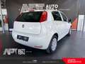 Fiat Punto Evo Punto 1.2 Street 5p E6 Blanco - thumbnail 3