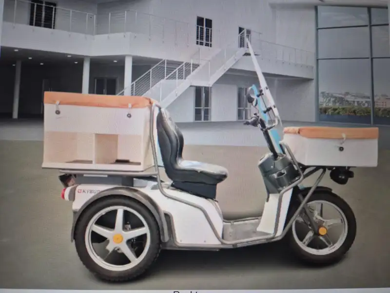 Overig KYBURZ KYBURZ DXP - foto 3