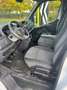 Renault Master Kastenwagen FWD Kasten KOMFORT L2H2 3,5t dCi 180 Weiß - thumbnail 3