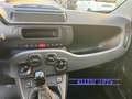 Fiat Panda PROMO FINANZ.PANDINA 1.0  Hybrid  KM  0 Bianco - thumbnail 10