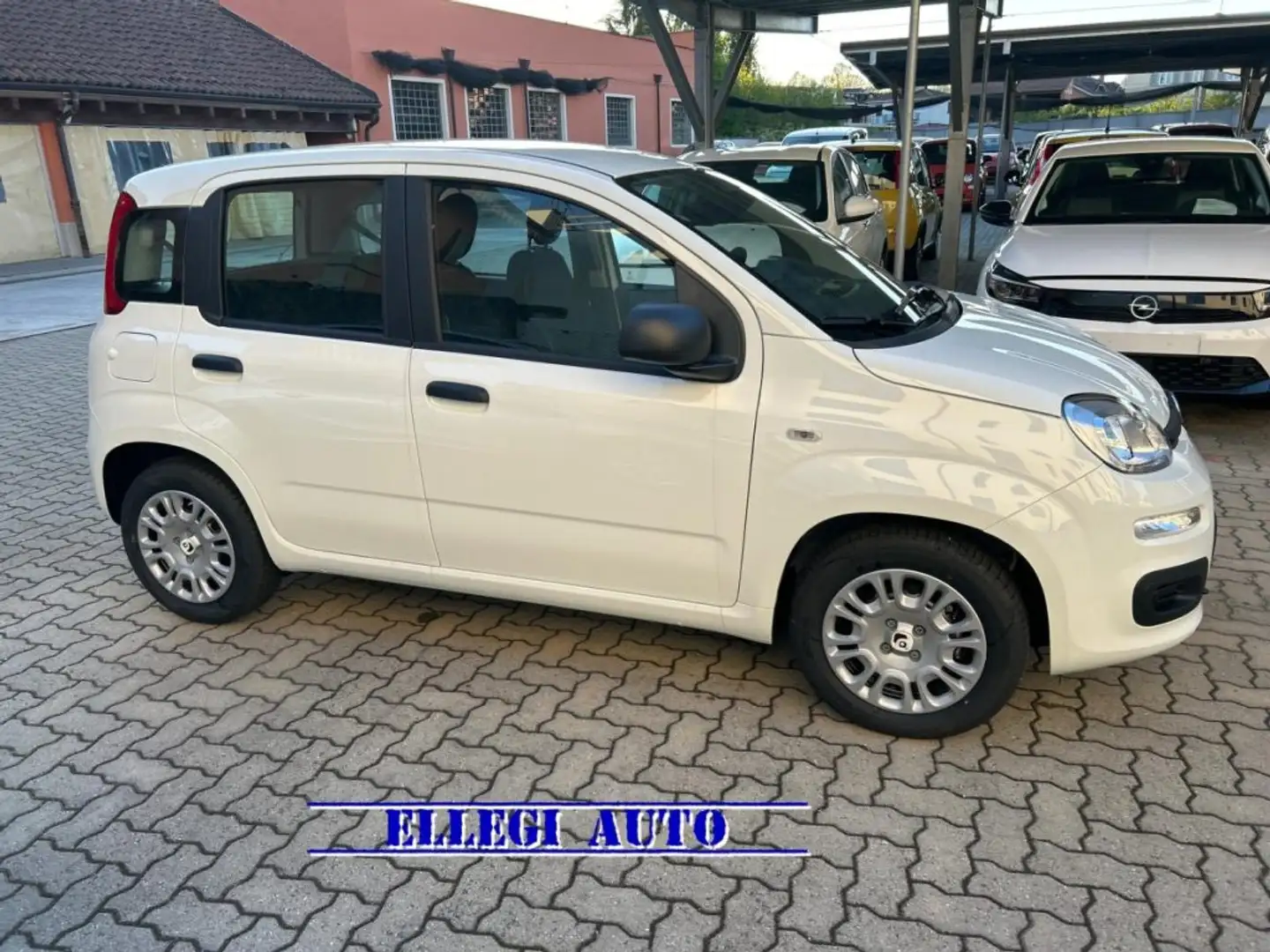 Fiat Panda PROMO FINANZ.PANDINA 1.0  Hybrid  KM  0 Bianco - 2