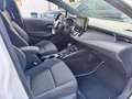 Toyota Corolla Touring Sports 1.8h Business cvt Bianco - thumbnail 6