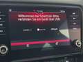 Skoda Octavia Style Virtual Tacho-Ambiente-1.Bes-Navi-Kamera-ACC Schwarz - thumbnail 19