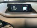 Mazda CX-30 Homura 2WD 360-CAM ACC Gris - thumbnail 13