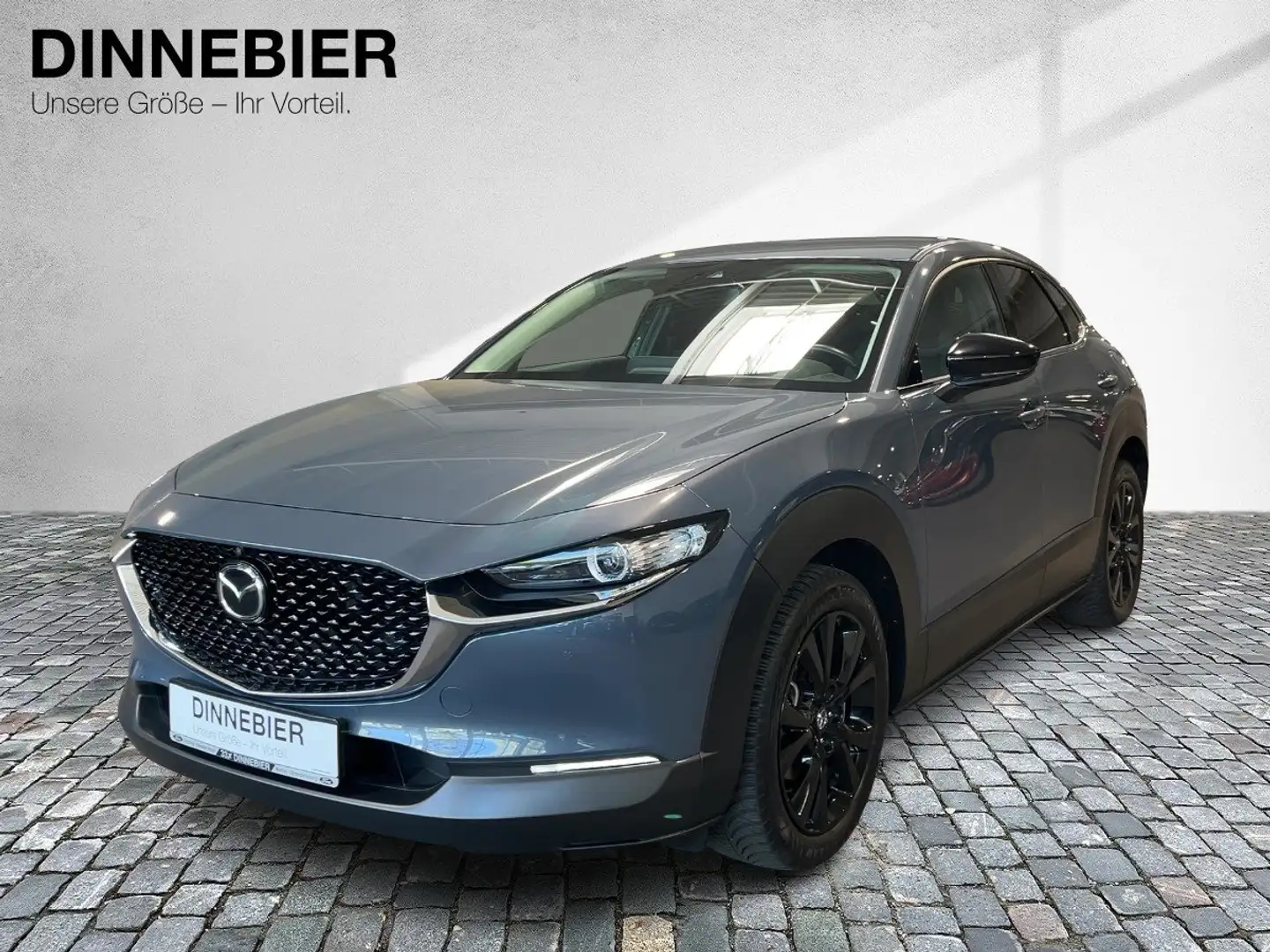 Mazda CX-30 Homura 2WD 360-CAM ACC Gris - 2