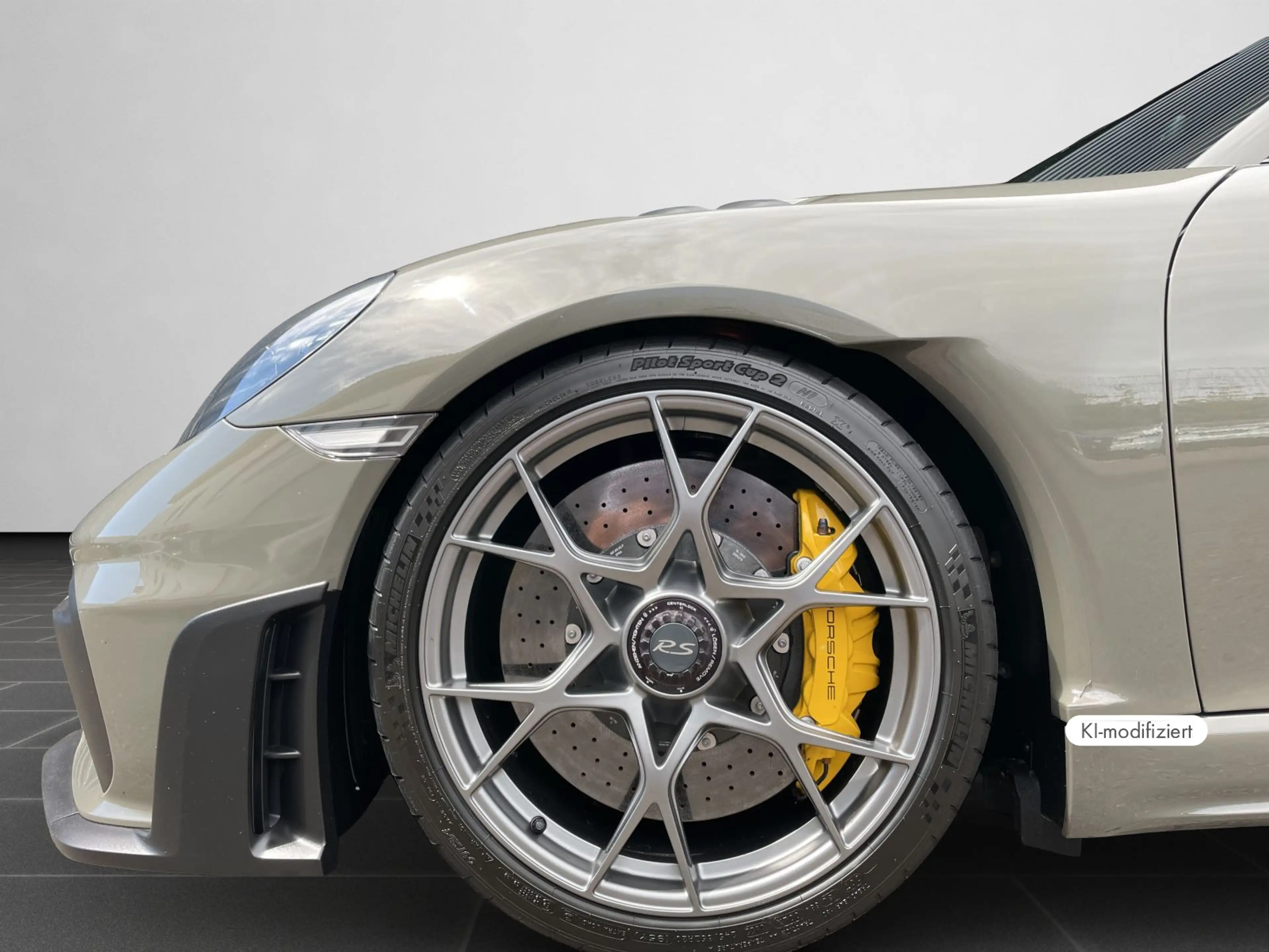 Porsche Cayman 718 GT4 RS — photo 8