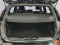 Ford Focus 1.0 Ecob. MHEV 92kW ST-Line Design SIP Negro - thumbnail 11