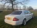 Mercedes-Benz E 55 AMG Blanco - thumbnail 5