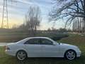 Mercedes-Benz E 55 AMG Blanco - thumbnail 4