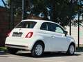 Fiat 500 Cult Sport Klima/Tempo/USB Blanc - thumbnail 3