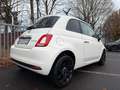 Fiat 500 Cult Sport Klima/Tempo/USB Weiß - thumbnail 12