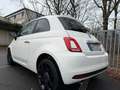 Fiat 500 Cult Sport Klima/Tempo/USB Weiß - thumbnail 8