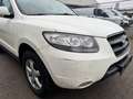 Hyundai SANTA FE 2.2 CRDi GLS 4X4 AUTOMATIK Weiß - thumbnail 8
