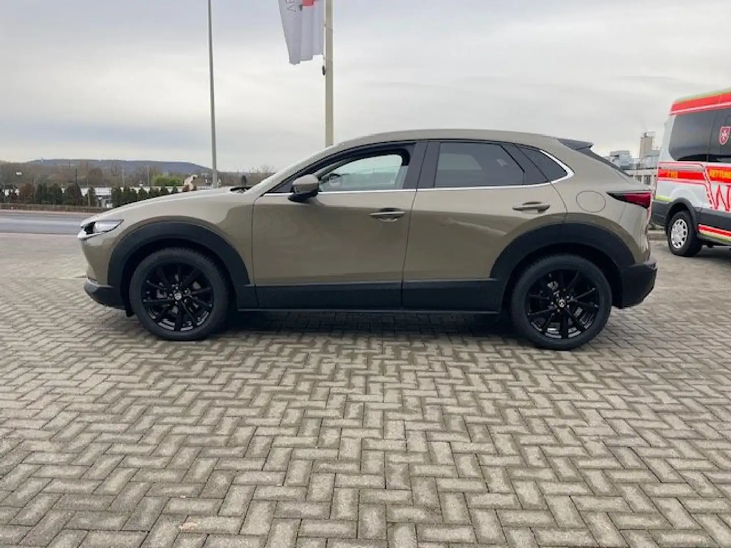 Mazda CX-30 e-SKYACTIVE G 140 EXCLUSIVE-LINE Grün - 2