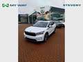Skoda Enyaq iV 80 150/82 E1H Wit - thumbnail 1