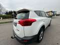 Toyota RAV 4 Rav4 2.2 d-cat Style 4wd 150cv auto Bianco - thumbnail 2