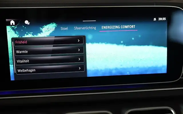 Mercedes-Benz Gle view 26